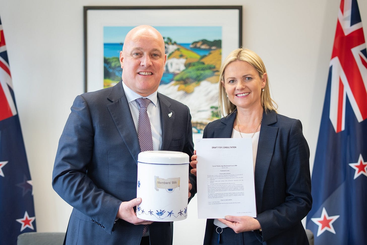 National introduces bill to ban social media for under-16s - NZ Herald