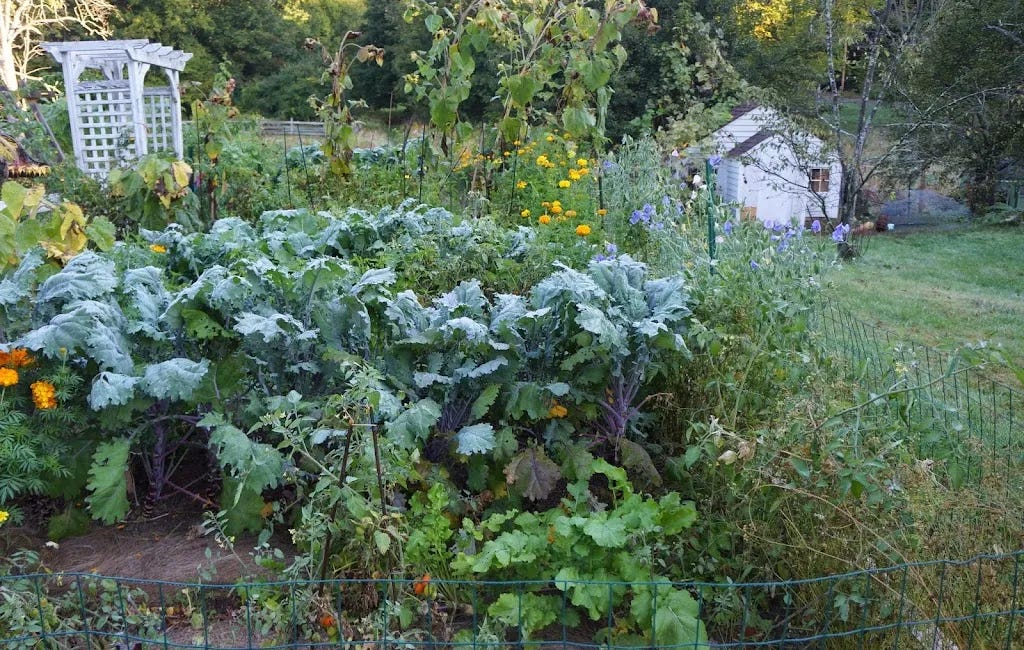 Backyard Farming Connection Resources Library