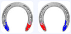 A Tale of Two Horseshoes - David Friedman’s Substack