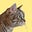Dirar's avatar