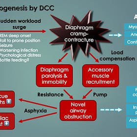 Companion Guide to "Uncovering Diaphragm Cramp in SIDS and Other Sudden Unexpected deaths"