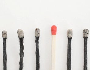 An unlit and burnt matches in a row