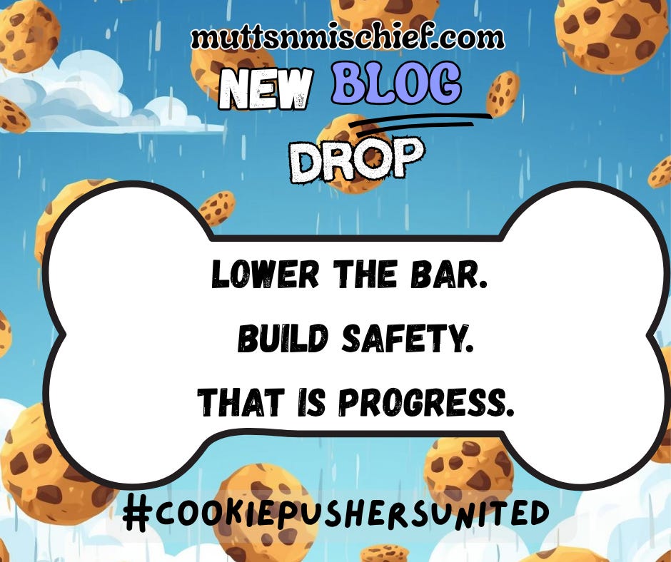 Cloudy sky with falling cookies. Text on bone: "Lower the bar. Build safety. That is progress." URL and hashtag: #cookiepushersunited.