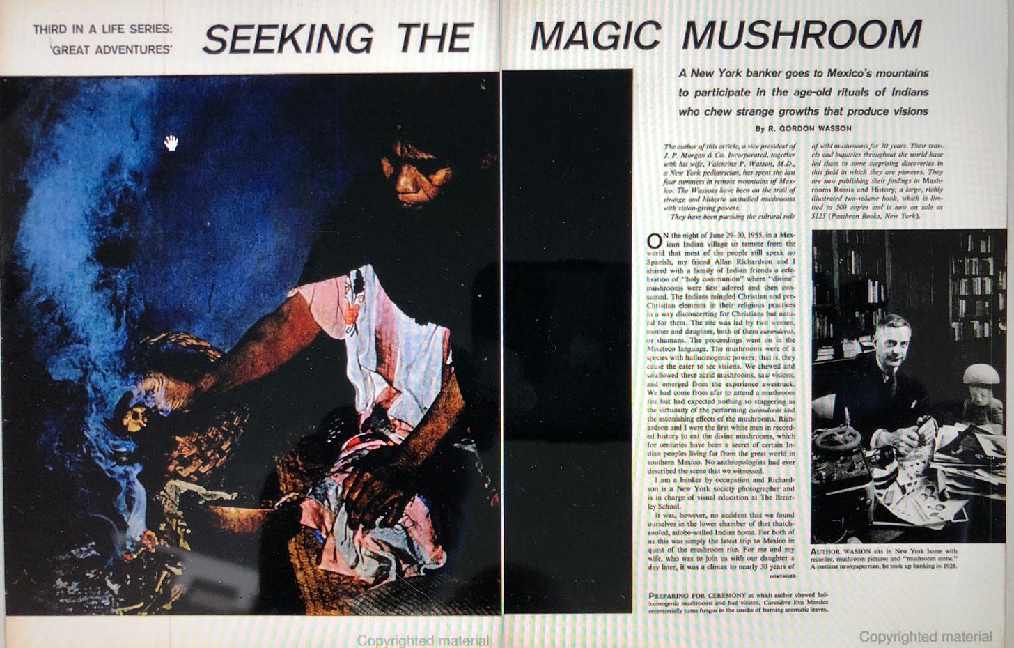 Seeking the Magic Mushroom — Trippingly