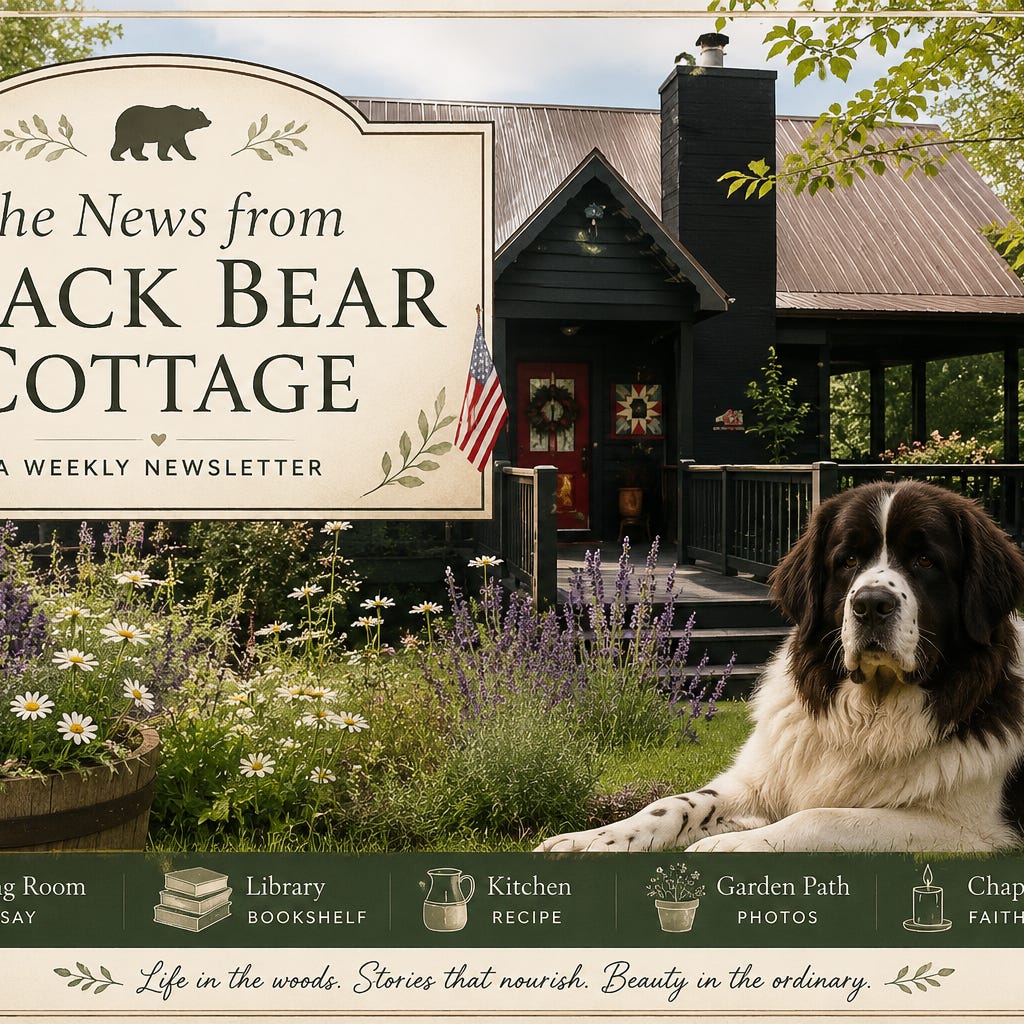 Suzanne Elizabeth Anderson Newsletter logo