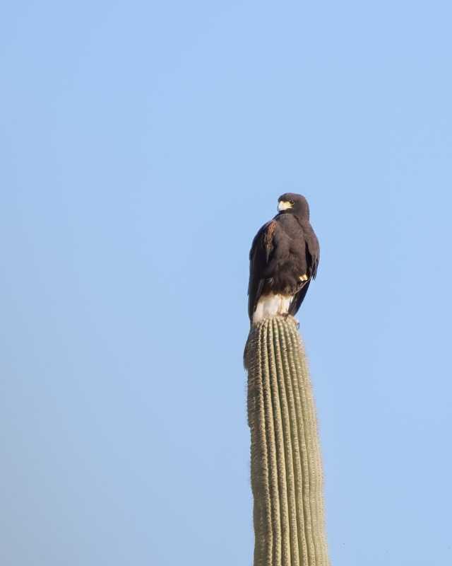 20260325-Tubac-73-Edit.jpg 20260325-Tubac-73-Edit.jpg