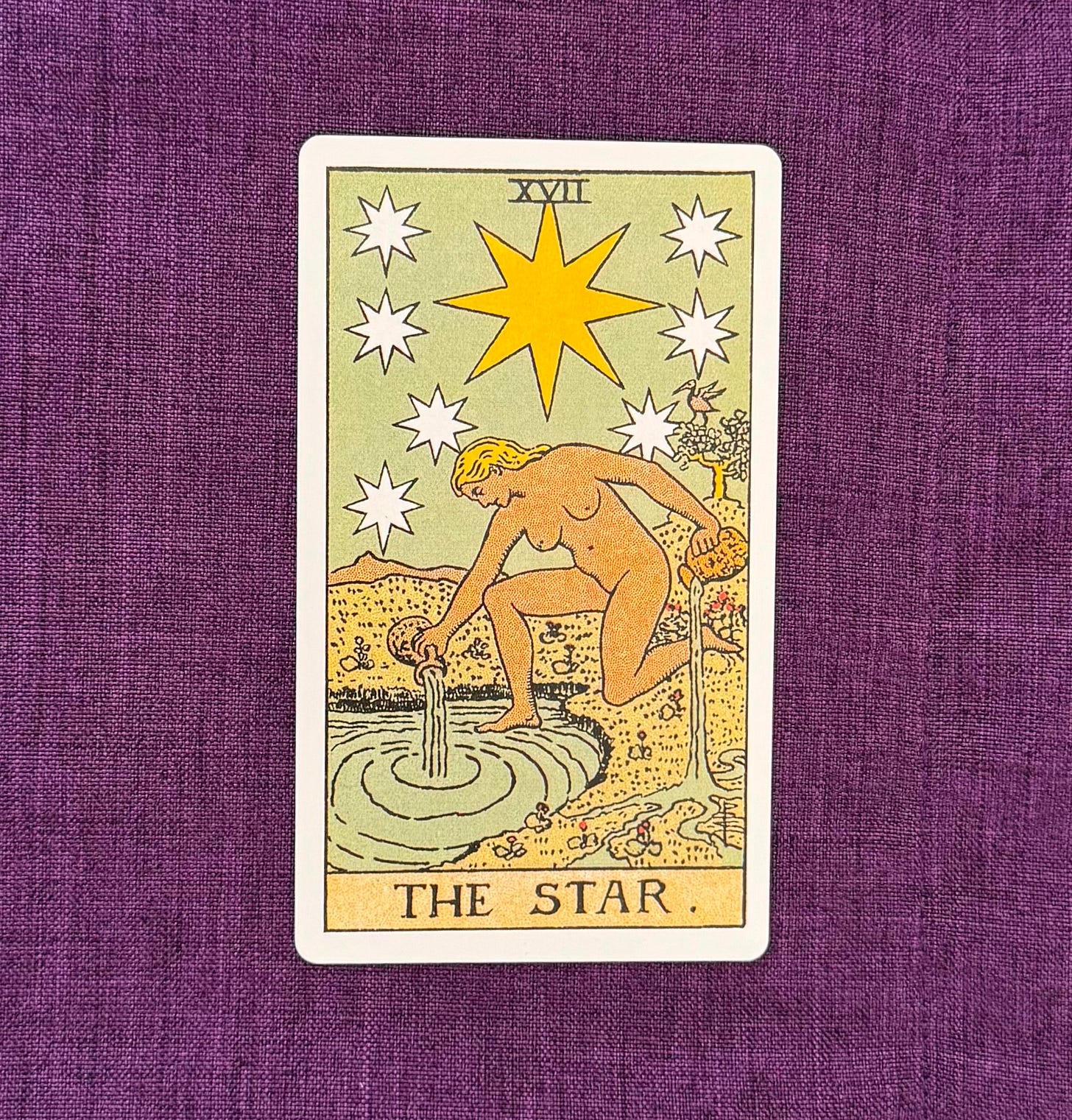 Tarot Card the star, depicts a naked woman emptying two jars into a pond. Stars can been above her.