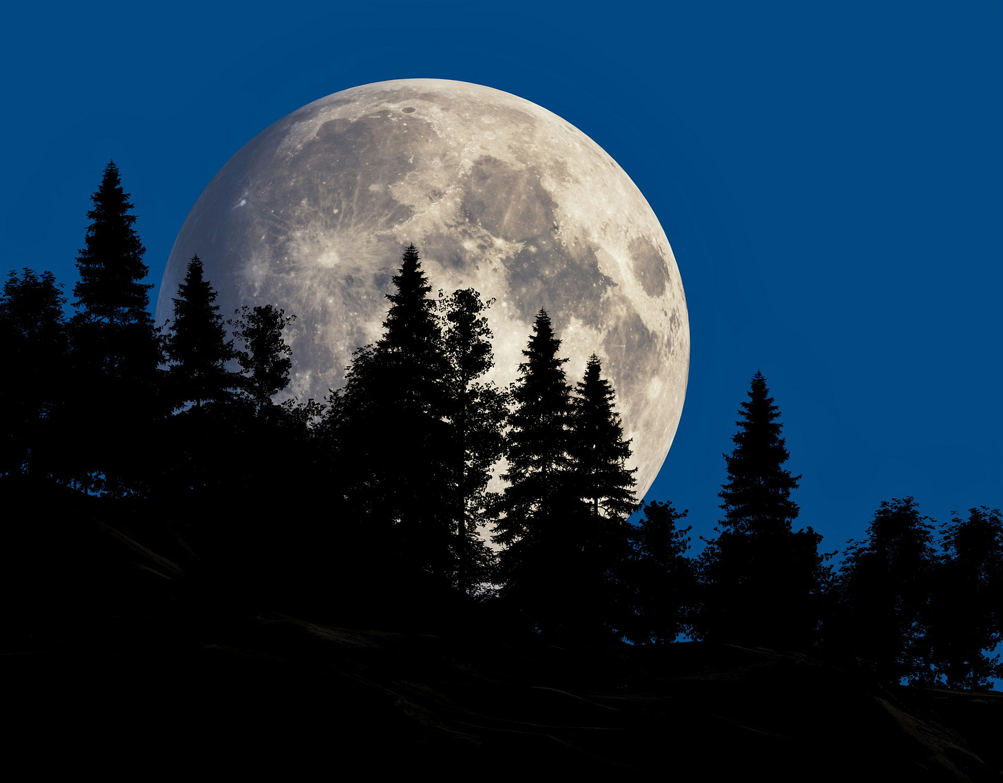 This is a very large full moon poking over an evergreen forest