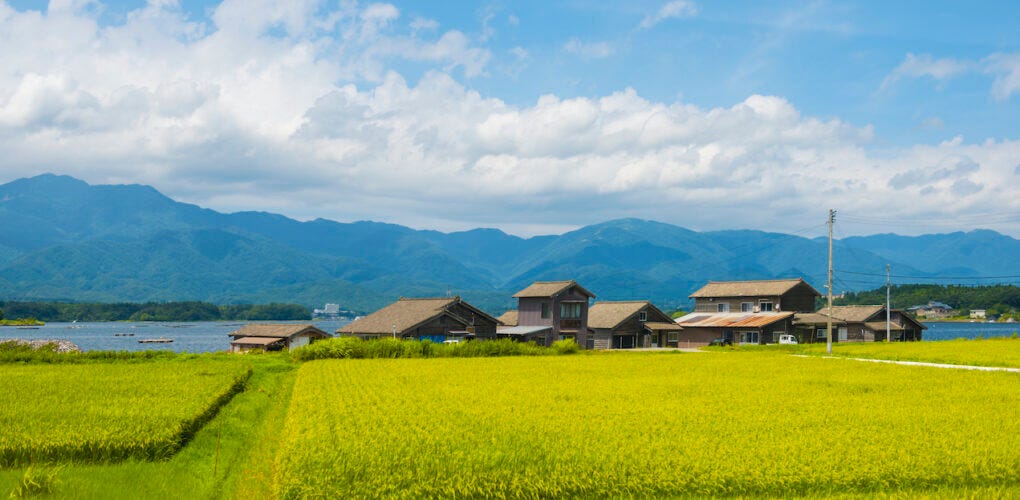 The Legal Side: Akiya Contracts, Conditions, and Gotchas