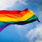 Soy milk: my childhood enlightenment on Gay vs Homosexual vs Vegetarian vs Santa Claus vs Sergeant Spacedicks