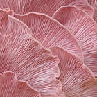 Regenerative Commercialization: Materials, Products & Energy