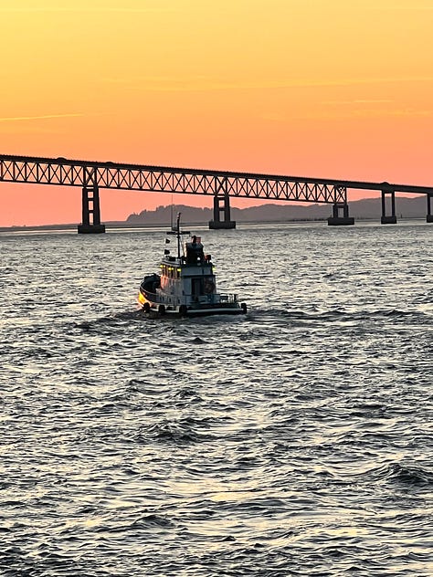 1. Tugboat going under a bridge at sunset. 2. Freighter on the Columbia River. 3. Astoria-Megler Bridger in sunrise. 4. Ships on the Columbia River with pilings. 5. Binoculars. 6. Big ship on the Columbia River. 7. View of the Columbia and Pacific Ocean from the Astoria Column. 8. Photo of Rose smiling from the Astoria Column. 9. View of downtown Astoria and the Columbia River