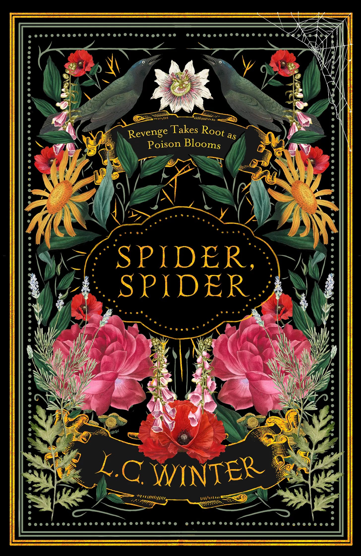 The cover of Spider, Spider by LC Winter