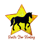 RusticStarHealing's avatar
