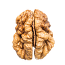 the unremarkable brain