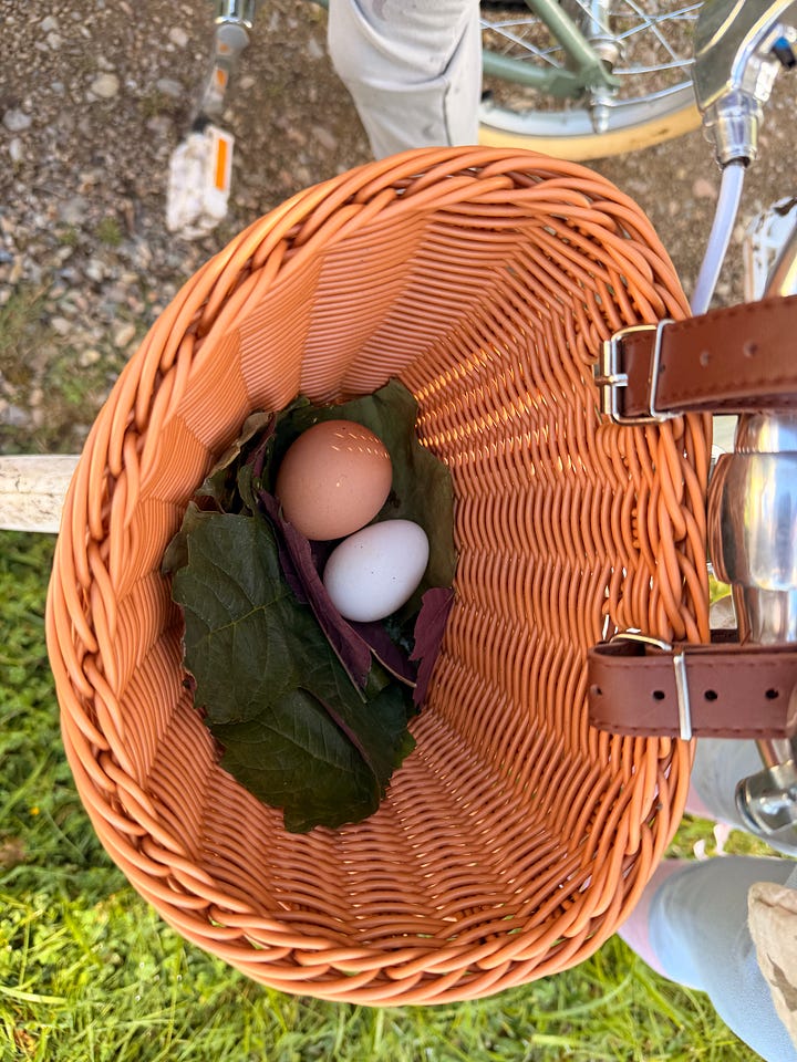 Four photos of the château grounds: a grassy track running along the edge of a sunlit wood, a girl in a pink fairy costume heading up a forest path, a girl in a white fairy dress riding a balance bike down a gravel drive, and a wicker bicycle basket holding two fresh eggs resting on leaves.