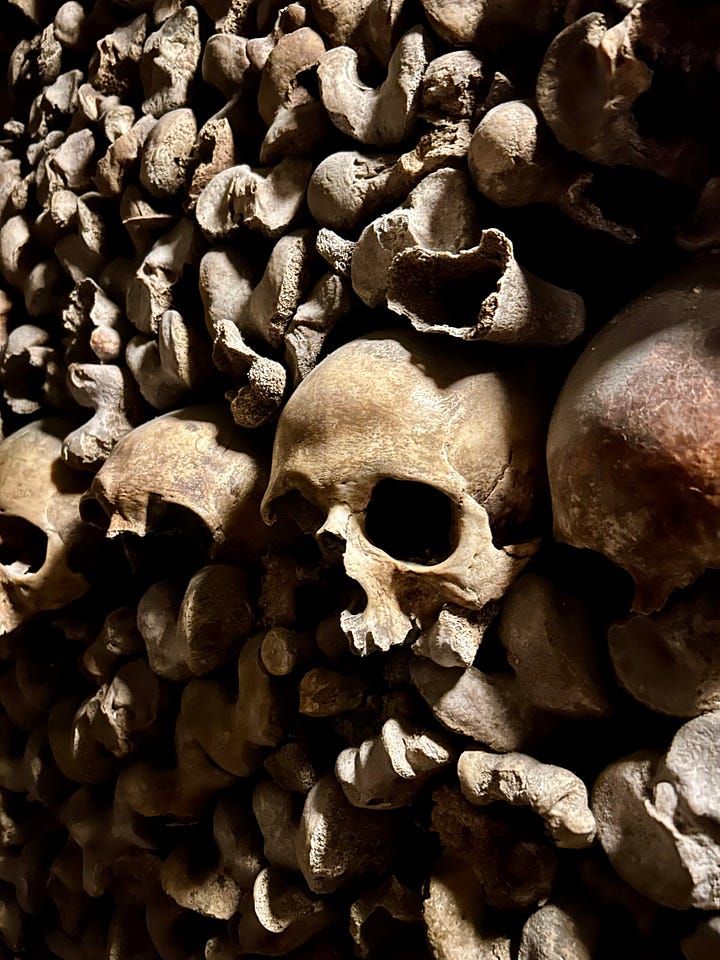 inside catacombes and méert: l'abeille française