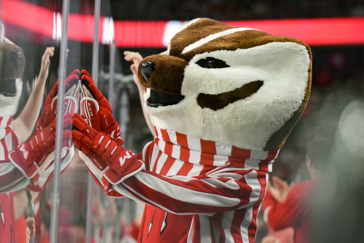 Bucky Badger wearing hockey gloves in the crowd