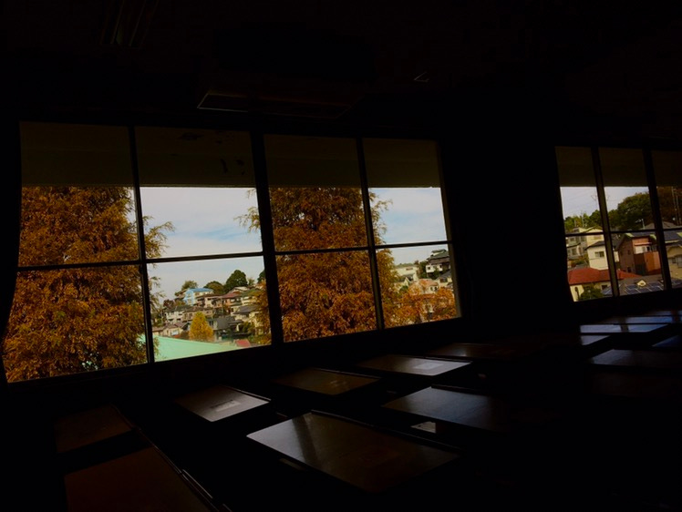 Bruno & Taro's Newsletter