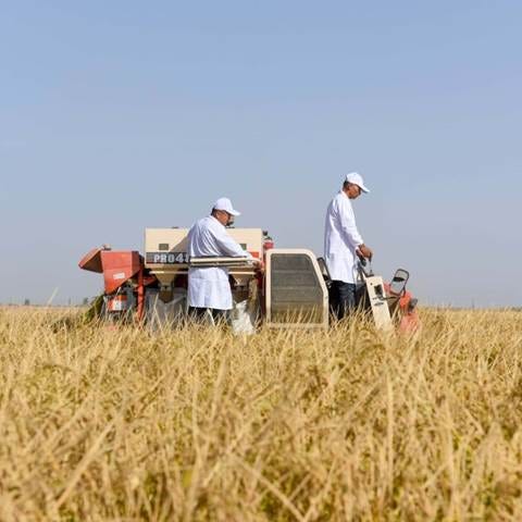 A couple of men in white coats in a field

Description automatically generated