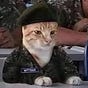 Clau's avatar