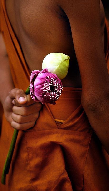 This may contain: a person holding a flower in their hand and wearing an orange outfit with pink flowers on it This may contain: a person holding a flower in their hand and wearing an orange outfit with pink flowers on it