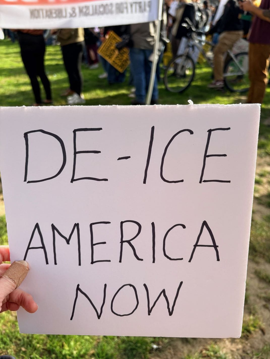 Hand-lettered sign that reads "DE-ICE AMERICAN NOW." Protestors visible in background. Hand-lettered sign that reads "DE-ICE AMERICAN NOW." Protestors visible in background.