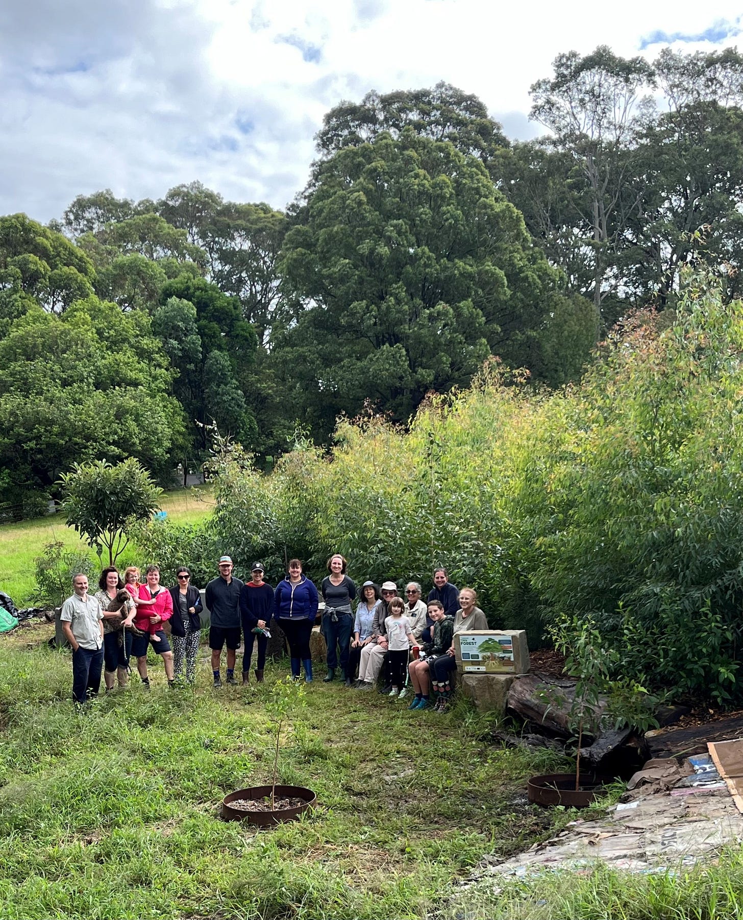 A team of a dozen Tree Keeper volunteers pose next to the Urban Hum Tiny Forest. The trees are twice their height