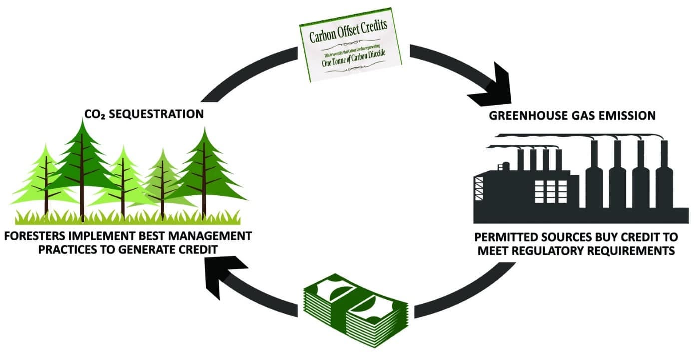 Crypto Carbon Credits Are Providing a Solution to the Wrong Problem |  Earth.Org