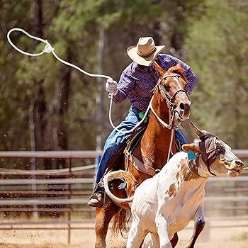 Amazon.com: Berlune Rope Lasso Pre Tied Cowboy Trick Lariat Lasso Rope Knot, 5/16" x 30' : Patio, Lawn & Garden Amazon.com: Berlune Rope Lasso Pre Tied Cowboy Trick Lariat Lasso Rope Knot, 5/16" x 30' : Patio, Lawn & Garden