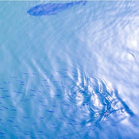子どもは「正しさ」より「空気」を見ている