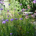 Gardening in hot weather 