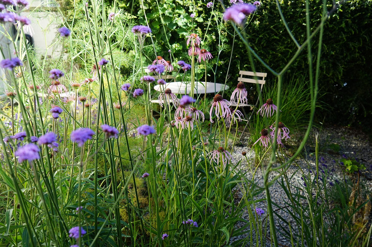 a gravel garden