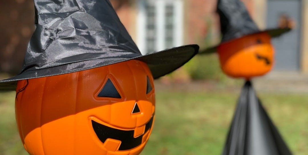 a couple of pumpkins that are sitting in the grass
