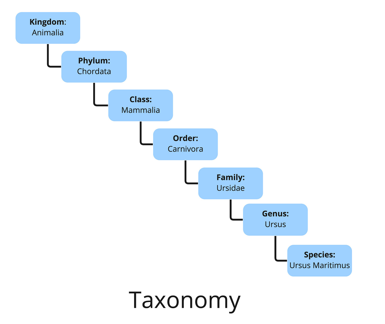 Taxonomy 101: Definition, Best Practices, and How It Complements Other IA  Work