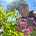 Sarah Buttenwieser's avatar
