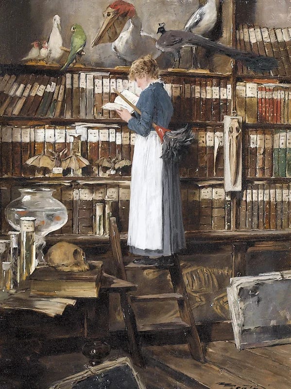 An Edwardian maid is standing on a stool in front of a book laden book case, apparently paused in her dusting to read a book.