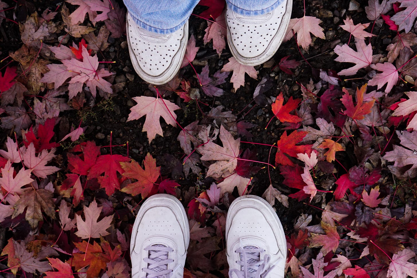 Picture shows two people looking down at their white tennis shoes with red leaves in the background.