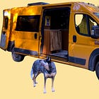 I think I've gotta let myself be that, again