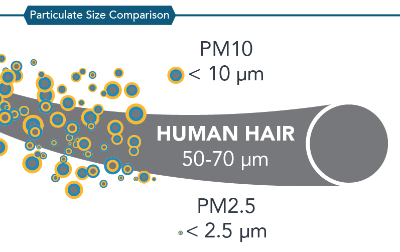 particulate size comparison