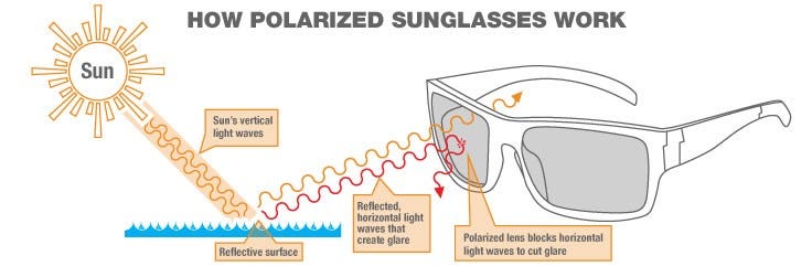What are Polarized Sunglasses? | Sierra Blog What are Polarized Sunglasses? | Sierra Blog