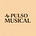 Pulso Musical