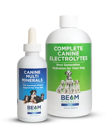 BEAM Minerals for Dogs 