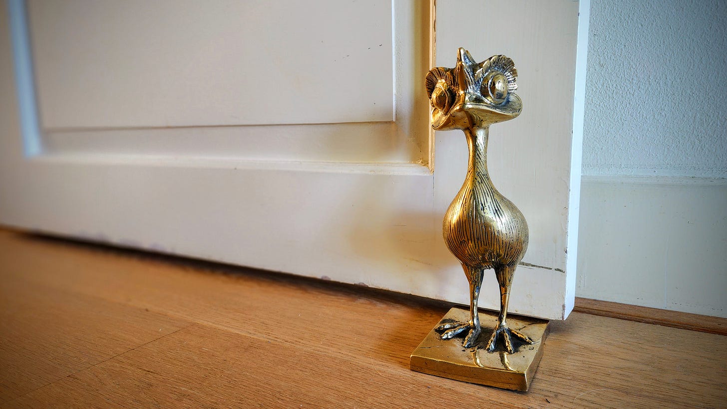 What is this thing? Is it an ostrich? An emu? A baby ostrich or emu? I have no idea.