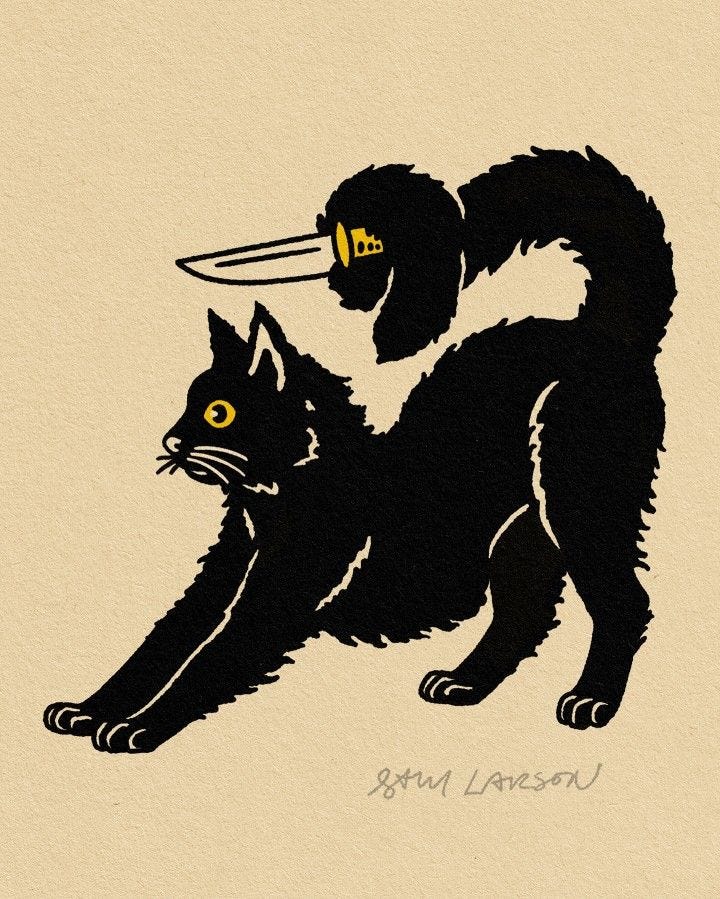 This may contain: a drawing of a cat with a bird on its back