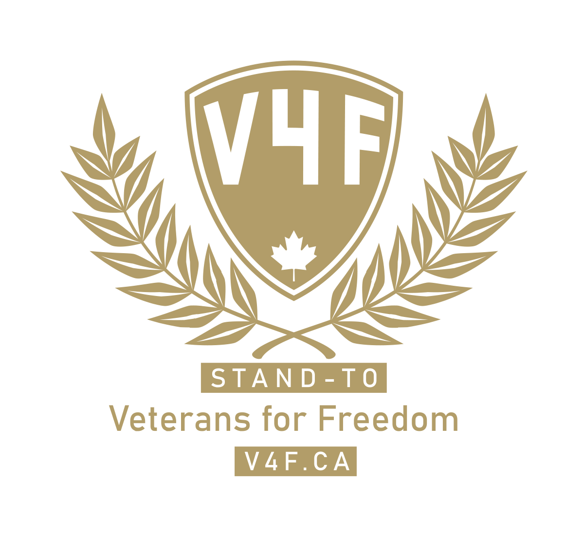 Substack profile picture for @veterans