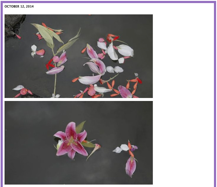 Ursula's Tumblr: Two photos of flowers floating in water, clearly taken at the event for Hero.