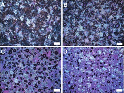 Polarized light microscopy (PLM) images of cake batters prepared using margarine (A), shortening (B), oleogel (C) and oil (D). Scale bars = 200 µm.  