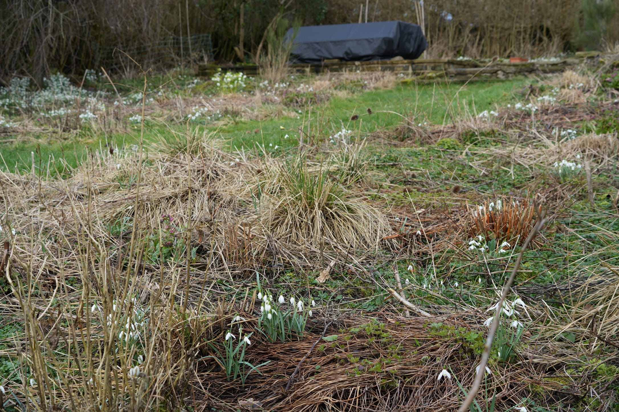 Enjoy a taste of false spring