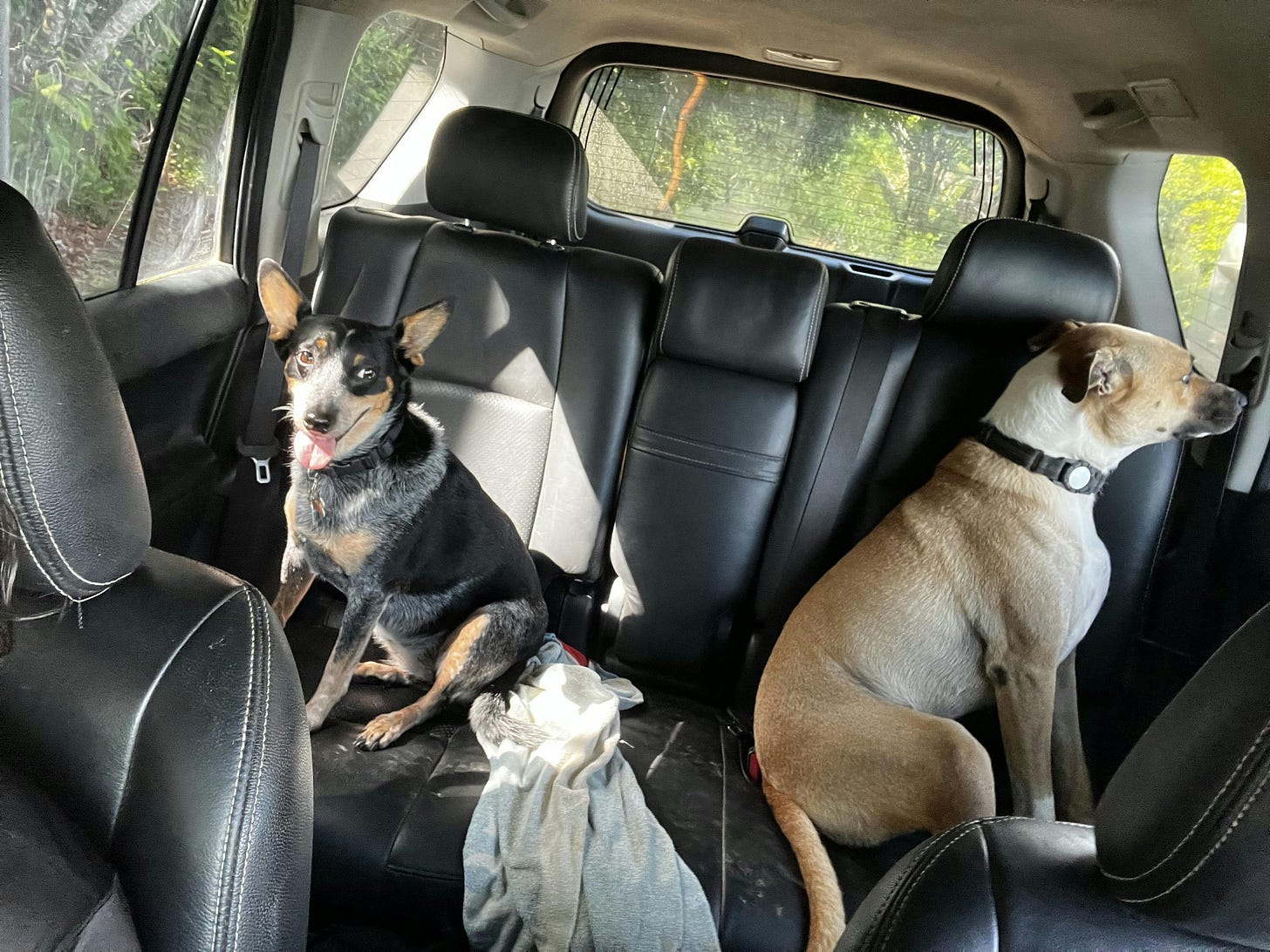 035: To Be, Or Not to Be... 035: To Be, Or Not to Be...